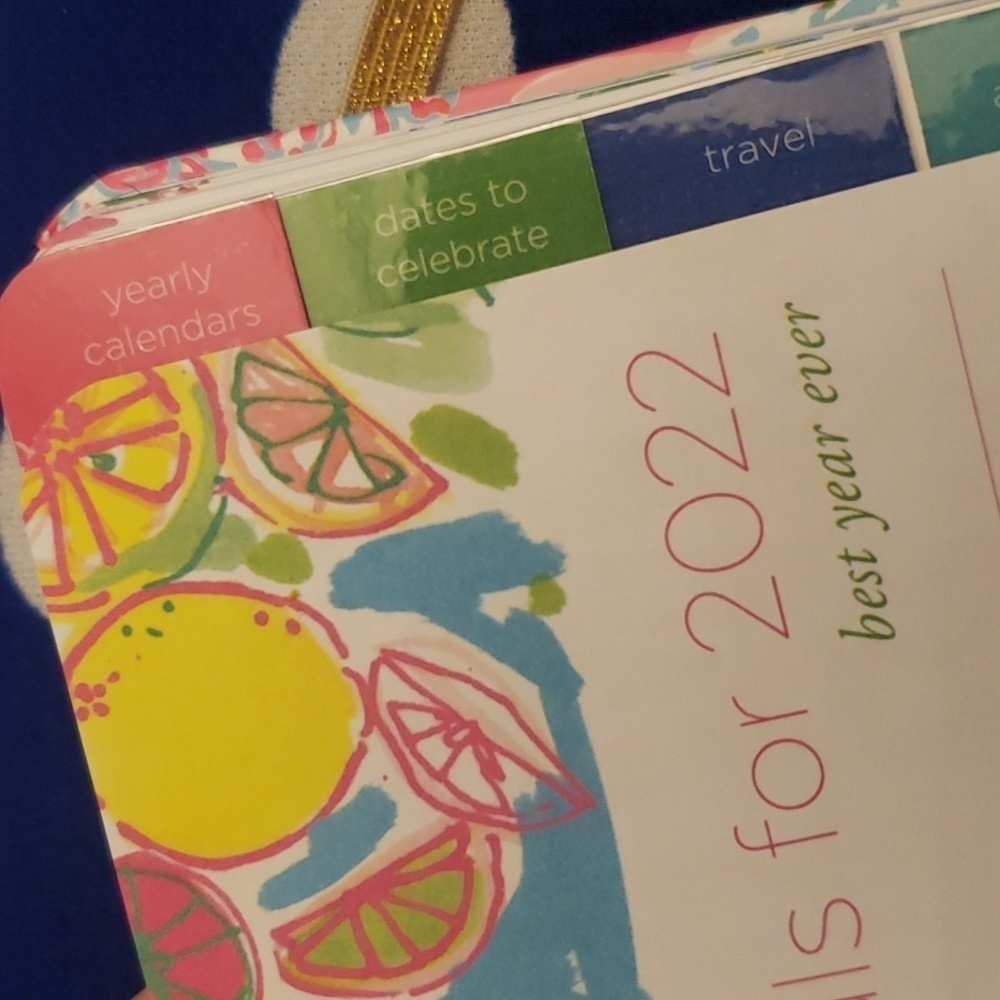 Lilly Pelzer planner - Picture 5 of 12